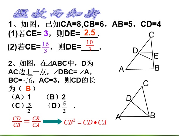 相似三角形专题复习