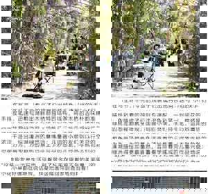 《江苏校外》江苏省泰州市少年宫青少年书画院赴溱湖绿洲开展写生活动