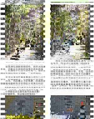 《江苏校外》江苏省泰州市少年宫青少年书画院赴溱湖绿洲开展写生活动