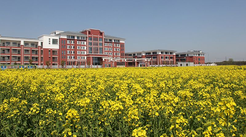 泰州市实验小学育才路校区