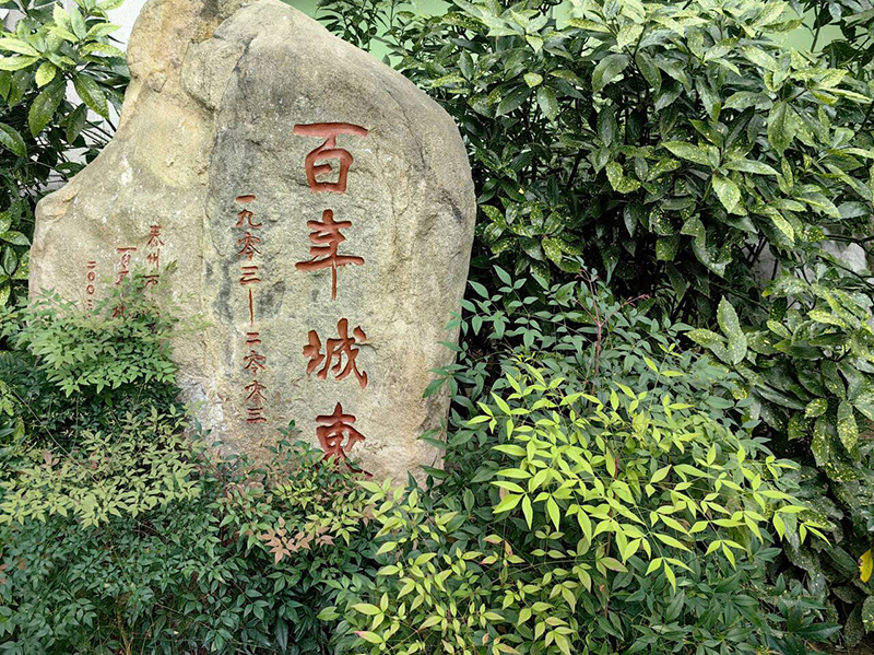 泰州市城东中心小学鼓楼校区